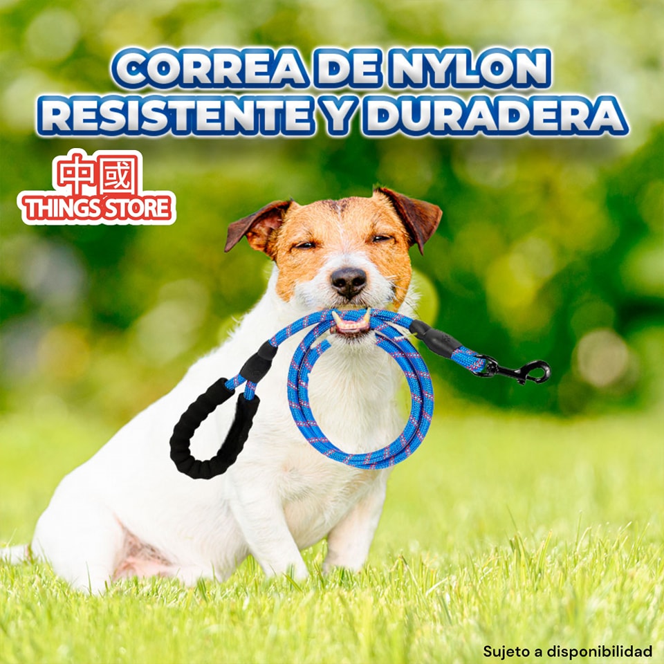 Correa retráctil 3 metros