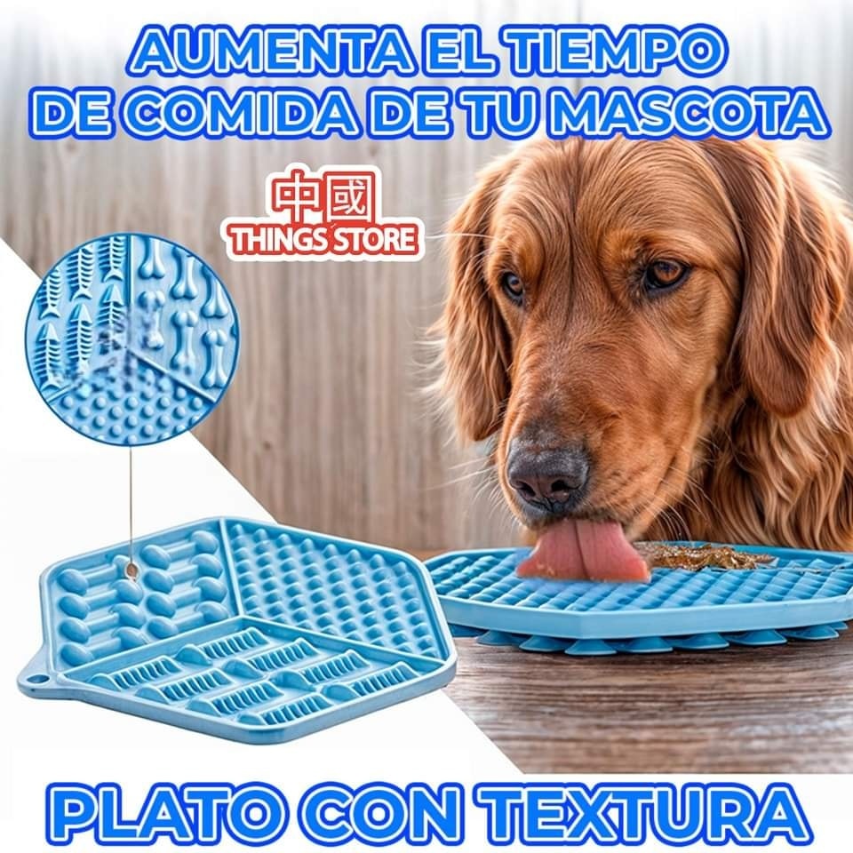 Plato interactivo para mascota
