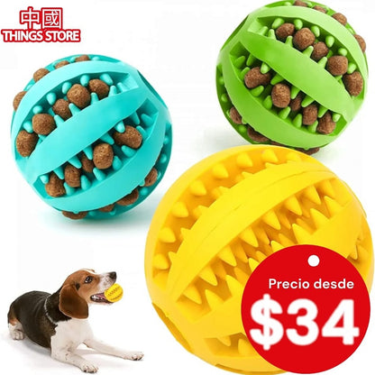 Pelota interactiva para mascota