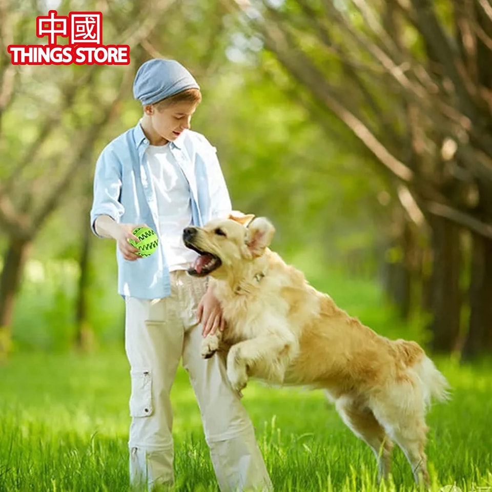 Pelota interactiva para mascota