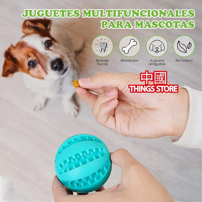 Pelota interactiva para mascota