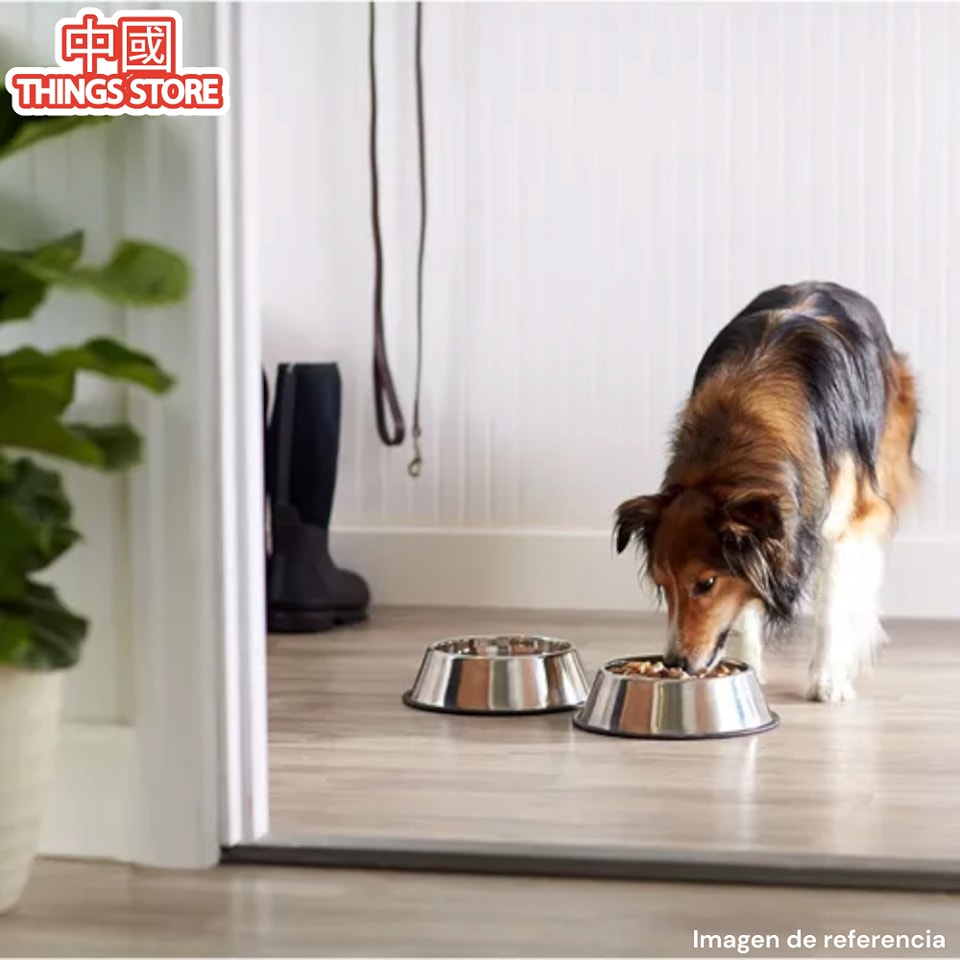 Plato de comida para mascota