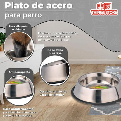 Plato de comida para mascota