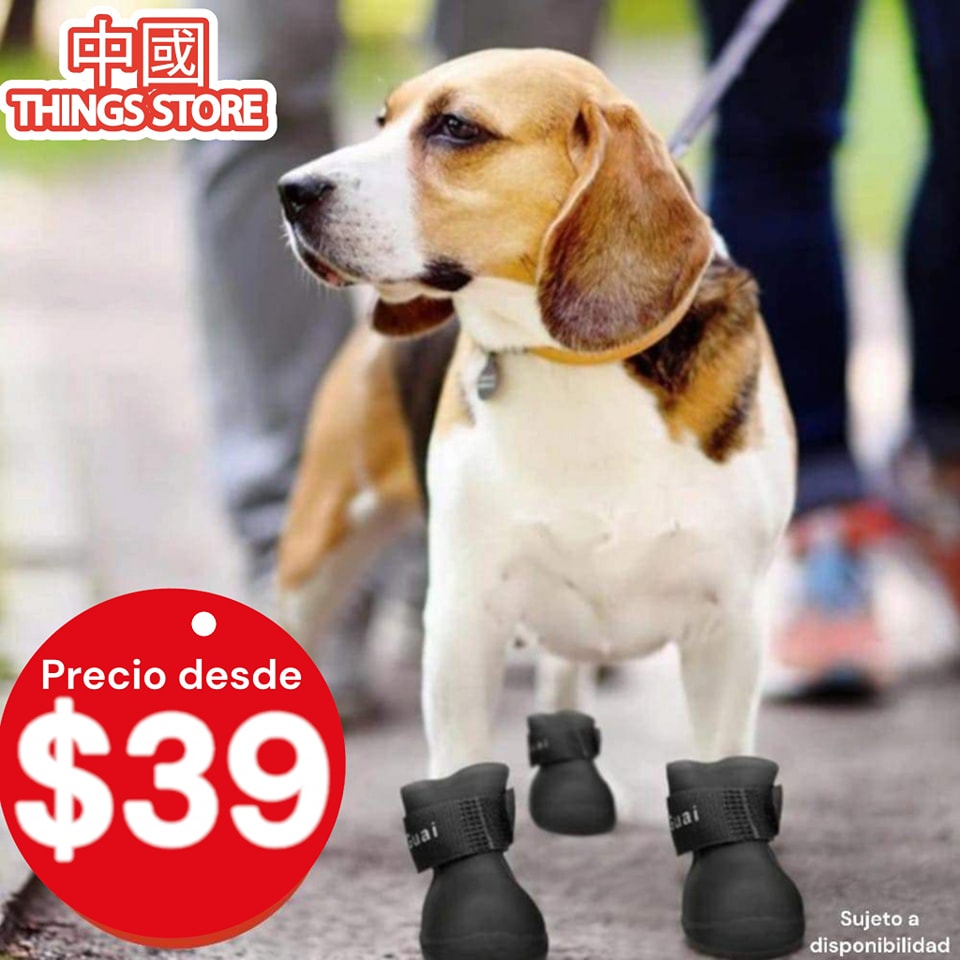 Botas impermeables de mascota