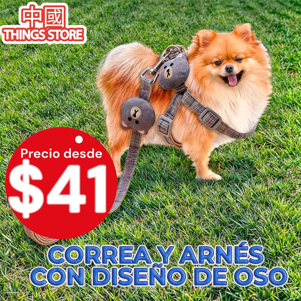 Correa y arnes con diseño para mascota