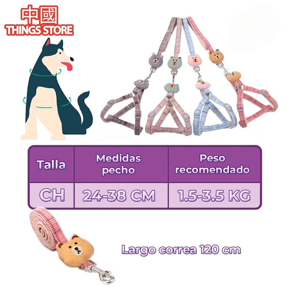 Correa y arnes con diseño para mascota