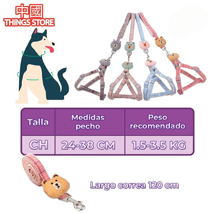 Correa y arnes con diseño para mascota