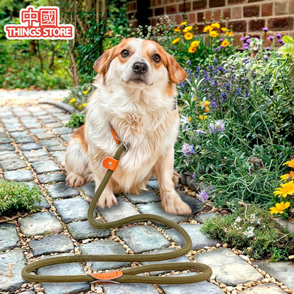 Correa de entrenamiento para mascotas
