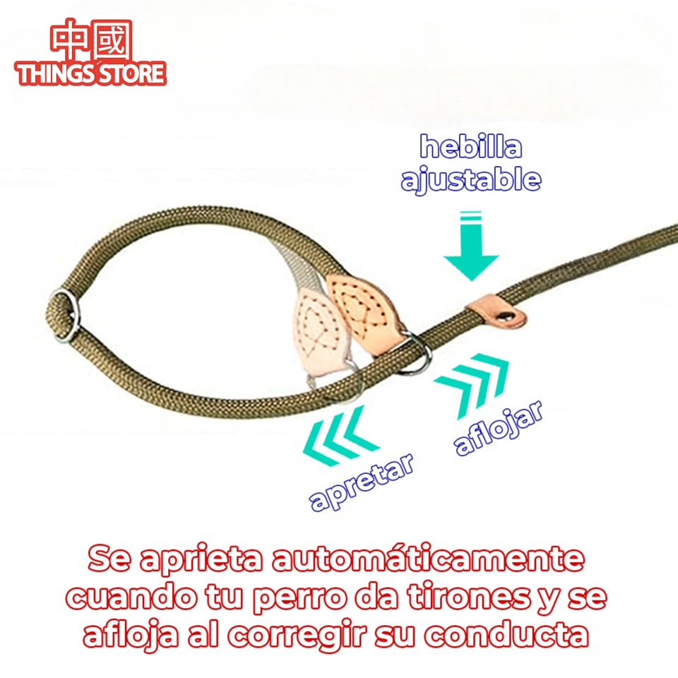 Correa de entrenamiento para mascotas