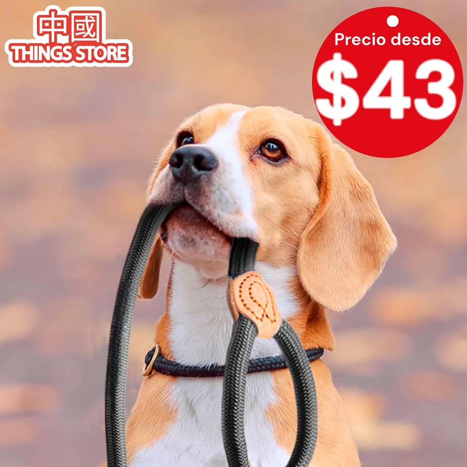 Correa de entrenamiento para mascotas
