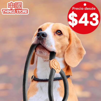 Correa de entrenamiento para mascotas