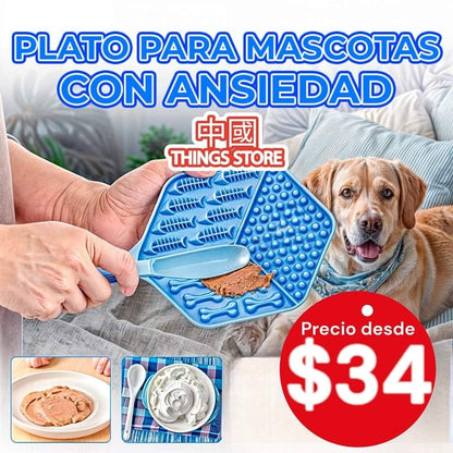 Plato interactivo para mascota
