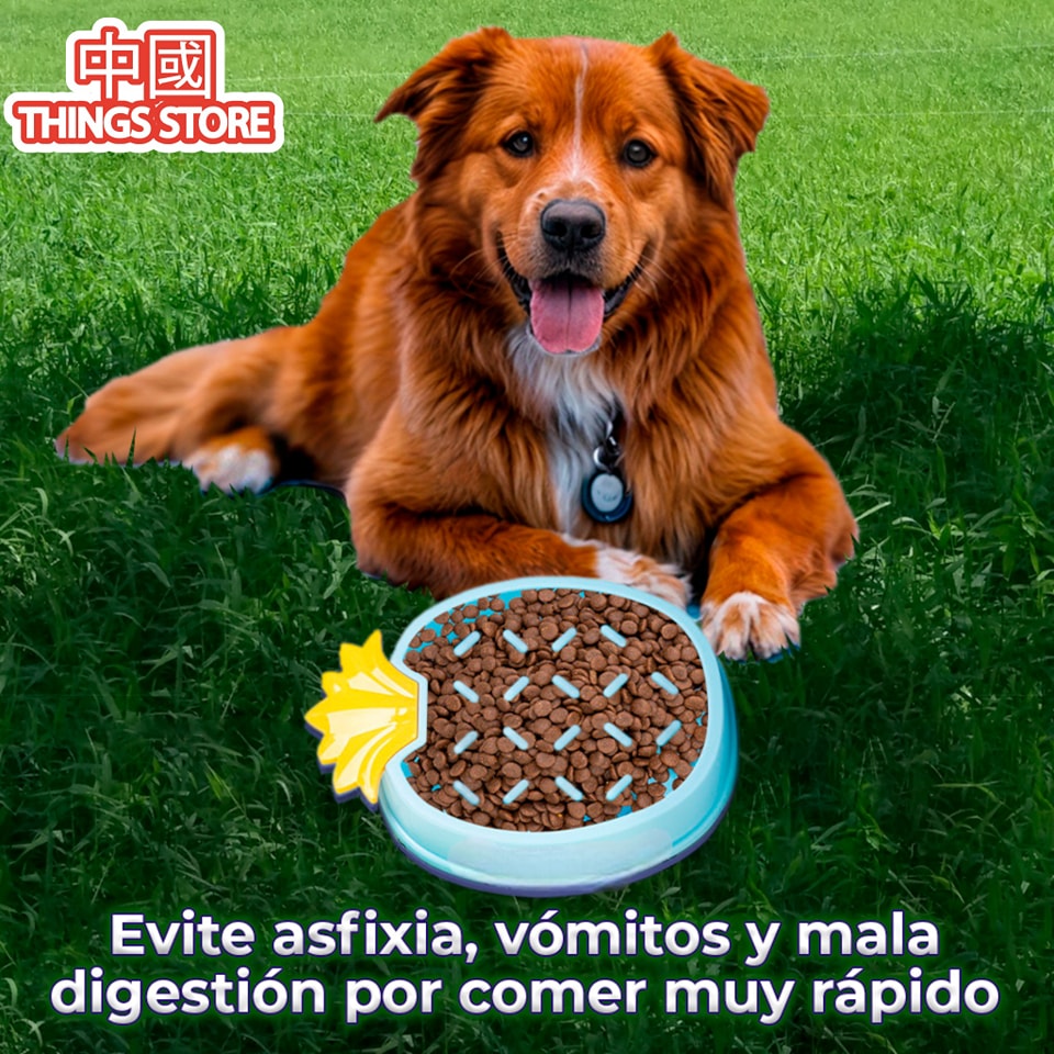 Plato anti ansiedad para mascotas
