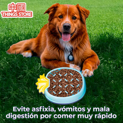 Plato anti ansiedad para mascotas