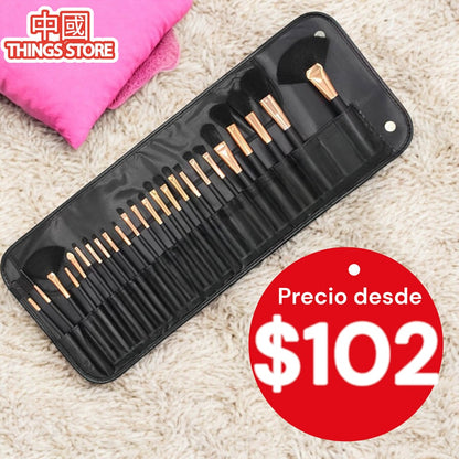 Set de brochas de 24pz