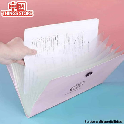 Folder tamaño carta liso