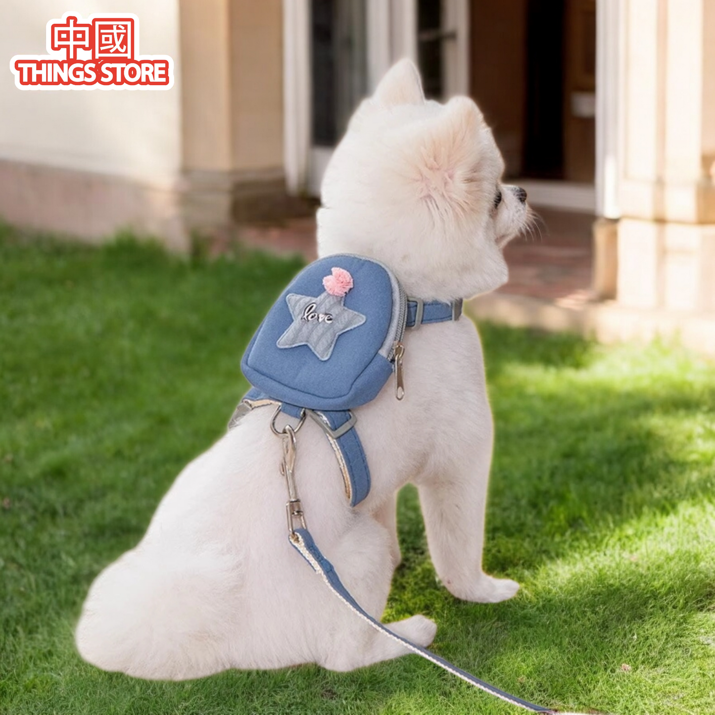 Mochila para mascotas