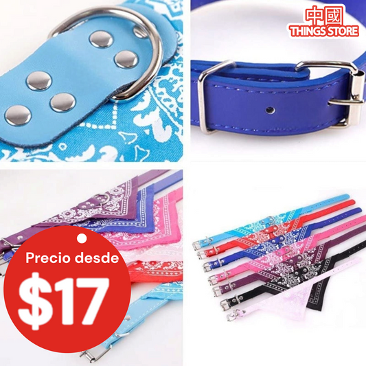 Collar con paliacate para perros