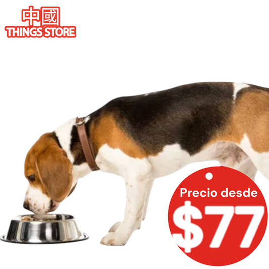 Plato de comida para mascota